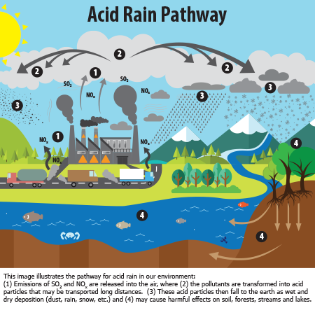Info-graphic of how Acid Rain is distributed